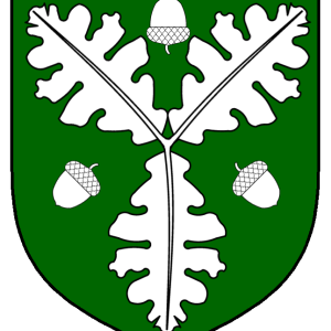 valdi_jarnsmidhr_called_valdr_heraldry.png
