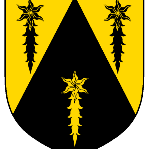 fearghas_mackenna_of_bryniau_tywynnog_heraldry.png