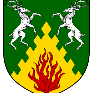 dyrfinna_eldadottir_heraldry.png