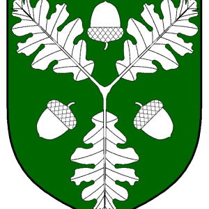 valdr_jarnsmithr_heraldry.png