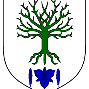 ulrich_von_kues_heraldry.png