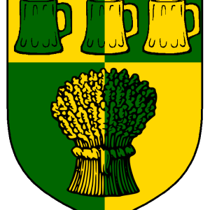 martin_brua_heraldry.png
