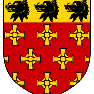 morighane_macdermott_heraldry.png