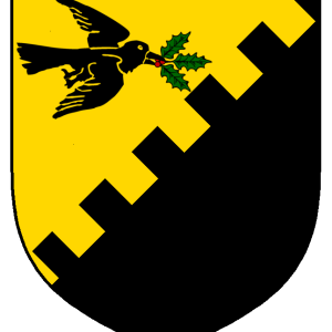 meadhbh_dubh_inghean_ruaidhri_heraldry.png
