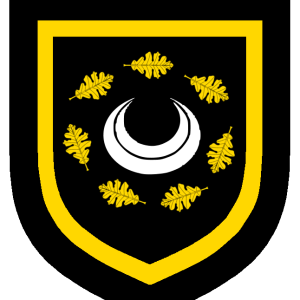 arianwen_ferch_morgan_fychan_of_caer_llefelys_heraldry.png