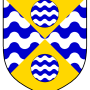 cinaeth_mac_lachlan_heraldry.png