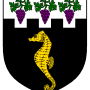 hildegard_de_burdigala_heraldry.png