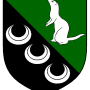 eithne_ingen_ui_ragnaill_heraldry.png