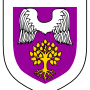 nikothea_palou_heraldry.png