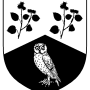 cainder_ingen_hui_chatharnaig_heraldry.png